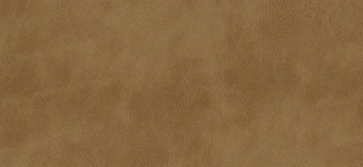 Clay Distressed Faux Leather Album Cover Swatch Detail