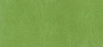 Key Lime Pie Pearlised Faux Leather Wedding Album Cover