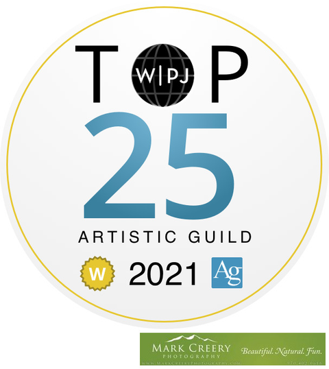 WPJA Top 25 Artistic Guild Wedding Photographer of the Year 2021