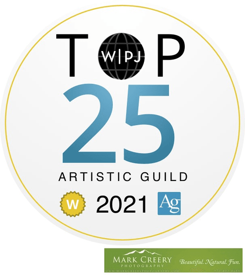 WPJA Top 25 Artistic Guild Wedding Photographer of the Year 2021