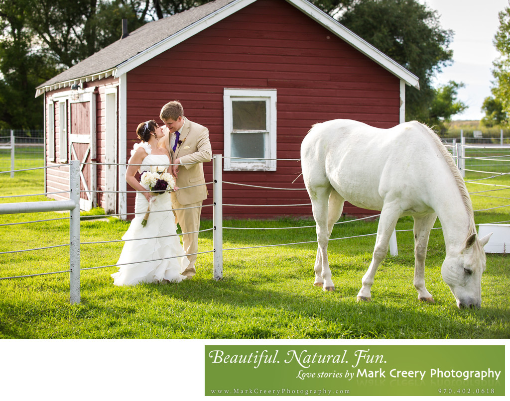 Hereford Ranch Wyoming wedding photographer