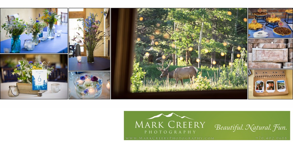 Reception details and elk at Della Terra wedding