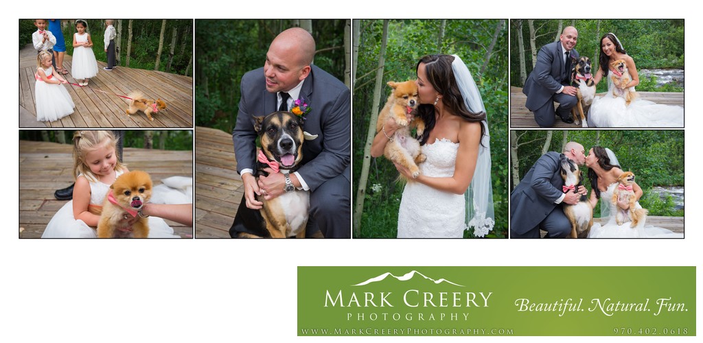 Bride & Groom with their dogs at Wild Basin Lodge