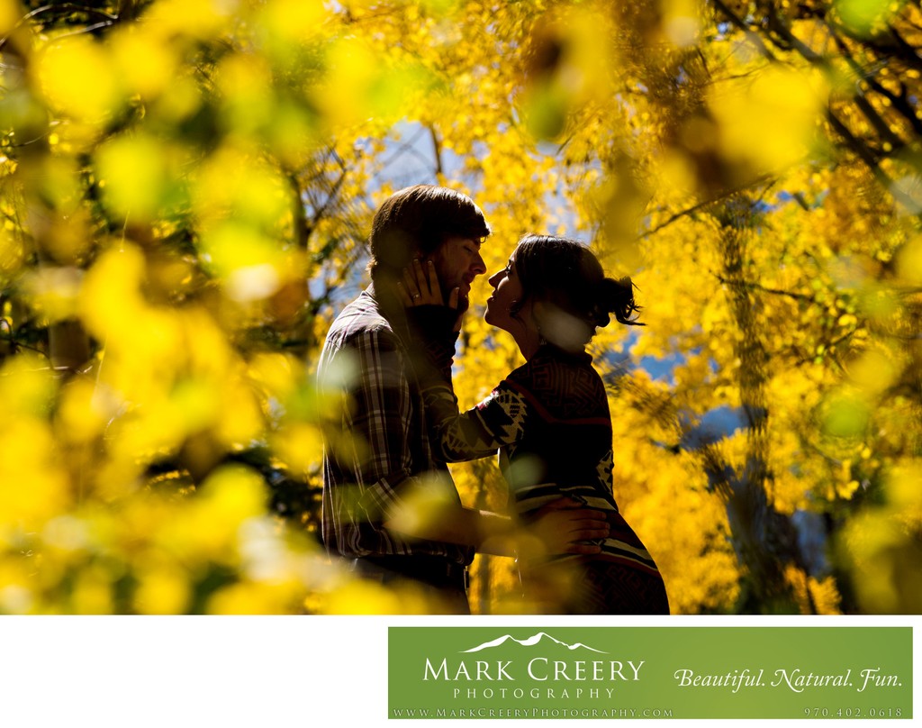 Fall yellow aspen leaves engagement photo