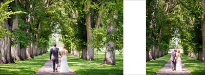 Bride & Groom under elms at CSU Oval wedding in Fort Collins