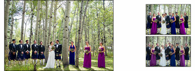 Bridal party portraits in aspens at Perry Mansfield wedding