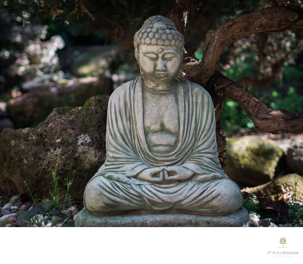 Buddha statue in the tranquil garden of the Zen House