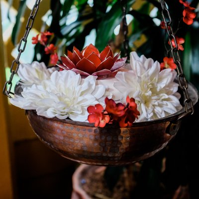 Flowers at Rudramandir