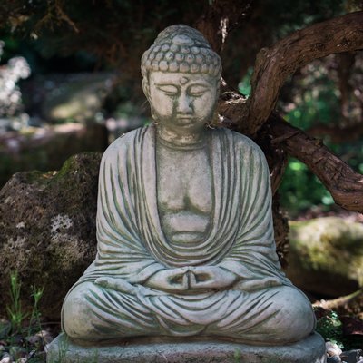 Buddha statue in the tranquil garden of the Zen House