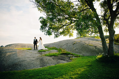 Klippor, träd med brudpar Tjolöholms slott