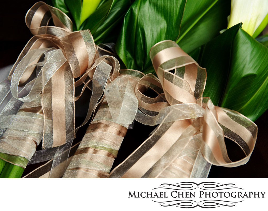 professional photographer in montego bay for weddings