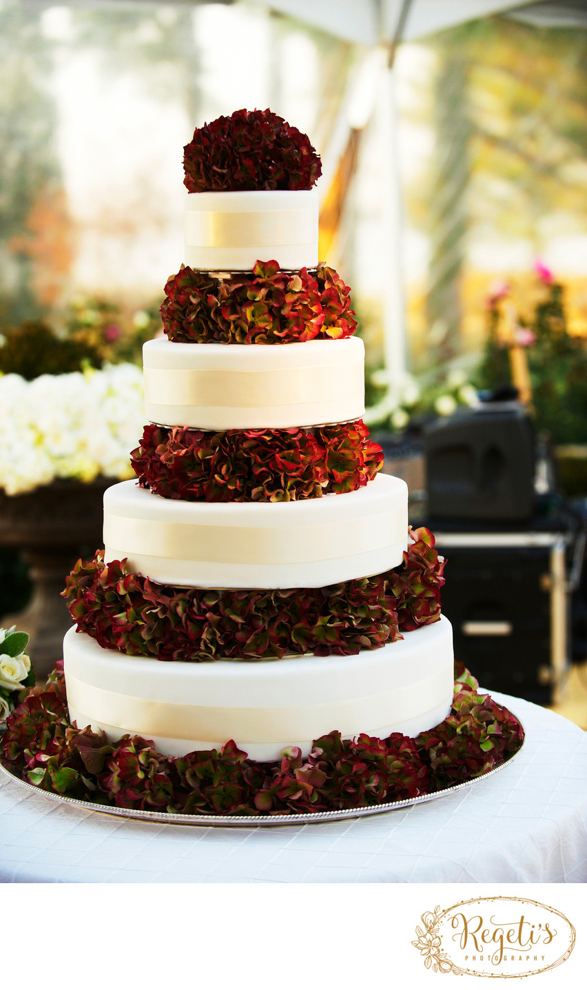 Wowza Wedding Cake