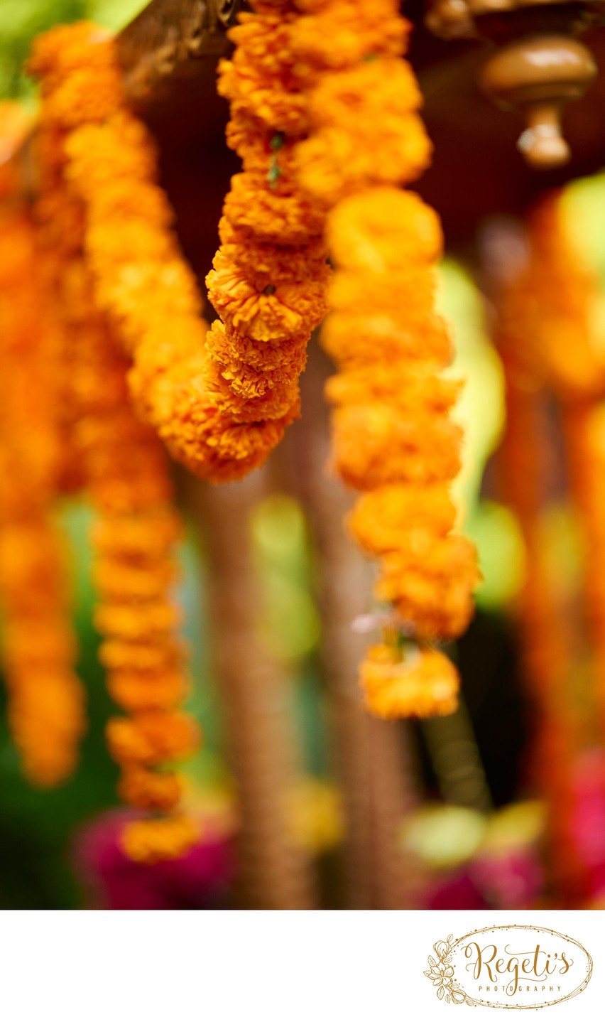 Wedding mehndi event celebrations and ceremony at bride’s private residence in Charlottesville, Virginia