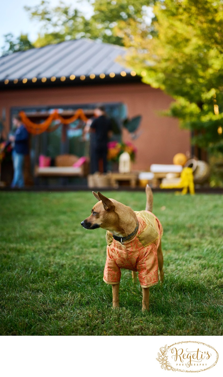 Wedding mehndi event celebrations and ceremony at bride’s private residence in Charlottesville, Virginia