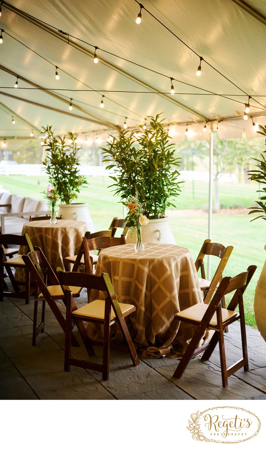 Wedding sangeet event celebrations and ceremonies at the Castle Hill Cider in Keswick, Virginia