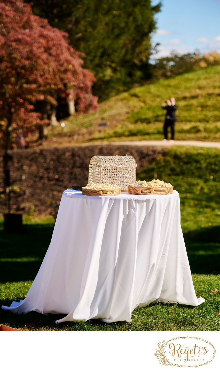 Anjali and Manish’s Romantic Straight-Out-of-Bollywood Wedding on the Lawn at the Boars Head Resort in Charlottesville, Virginia