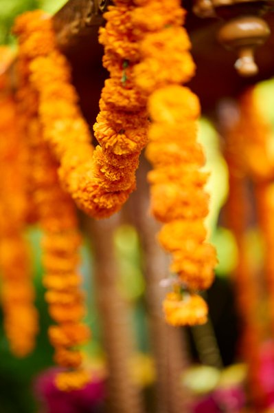 Wedding mehndi event celebrations and ceremony at bride’s private residence in Charlottesville, Virginia