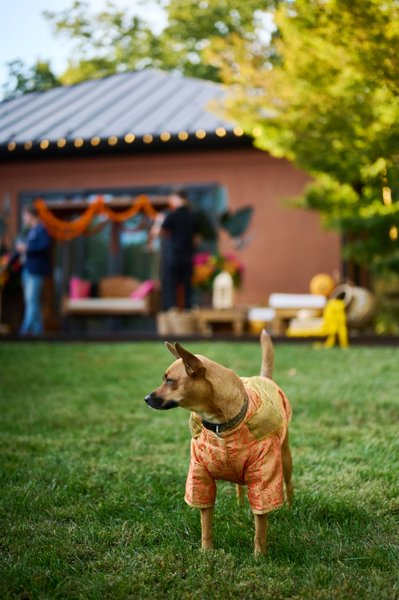 Wedding mehndi event celebrations and ceremony at bride’s private residence in Charlottesville, Virginia