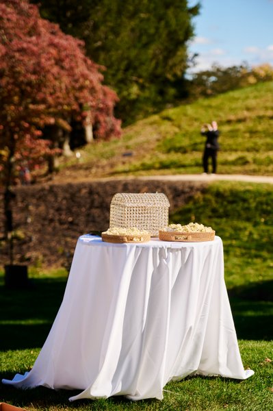 Anjali and Manish’s Romantic Straight-Out-of-Bollywood Wedding on the Lawn at the Boars Head Resort in Charlottesville, Virginia