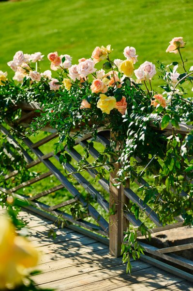 Anjali and Manish’s Romantic Straight-Out-of-Bollywood Wedding on the Lawn at the Boars Head Resort in Charlottesville, Virginia