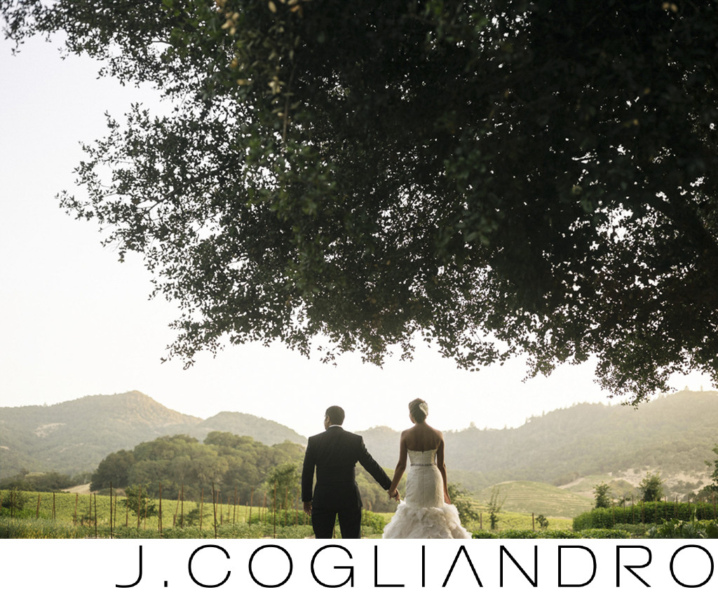 Wedding Photography in Wine Country in Yountville, CA