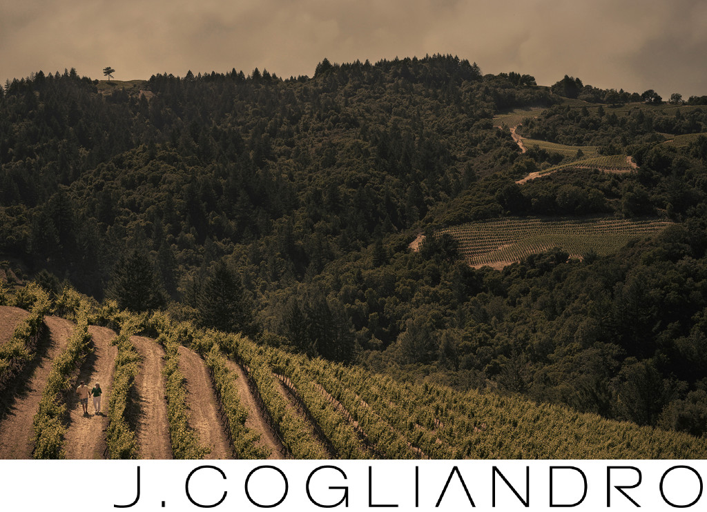 Rolling Vineyards for an Engagement in Napa Valley, CA