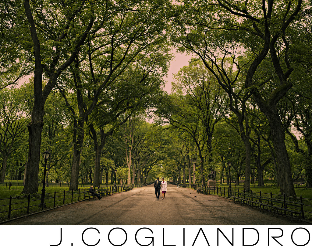 Central Park New York Engagement Photography