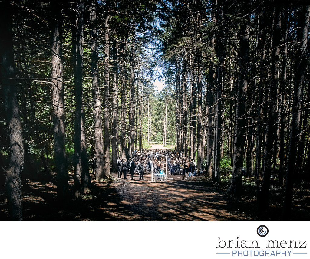 stony creek metro park wedding ceremony photo