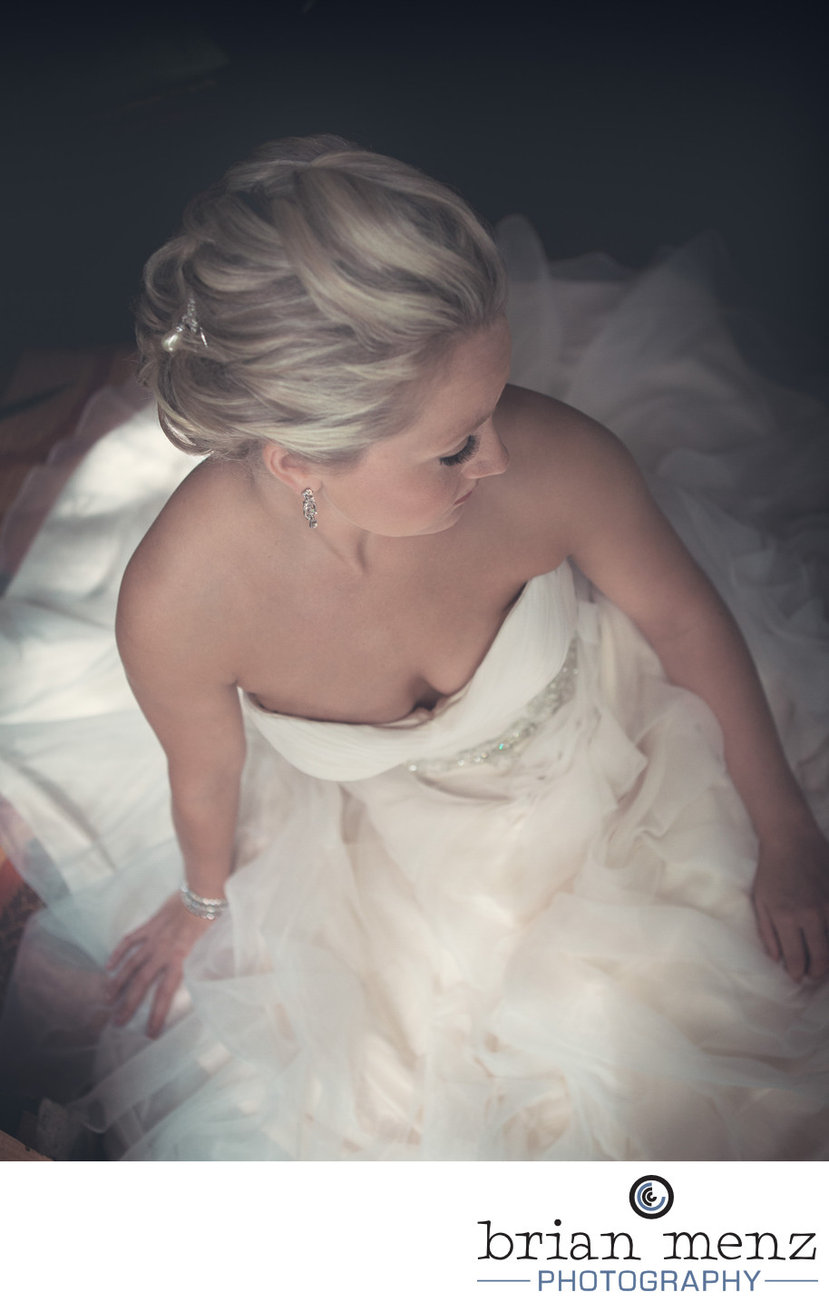bride portrait kalamazoo wedding photographer