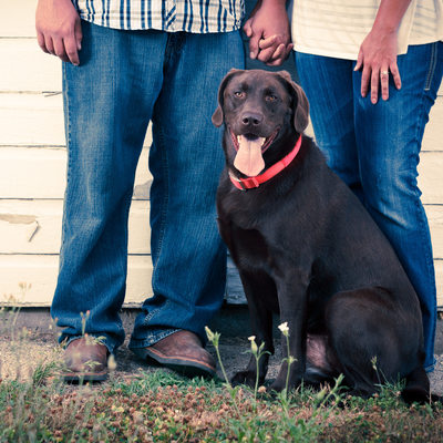 photography family southwest michigan