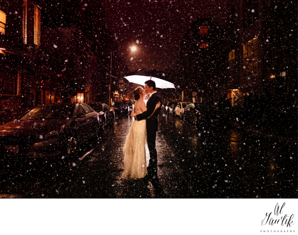 Snowfall Wedding Picture