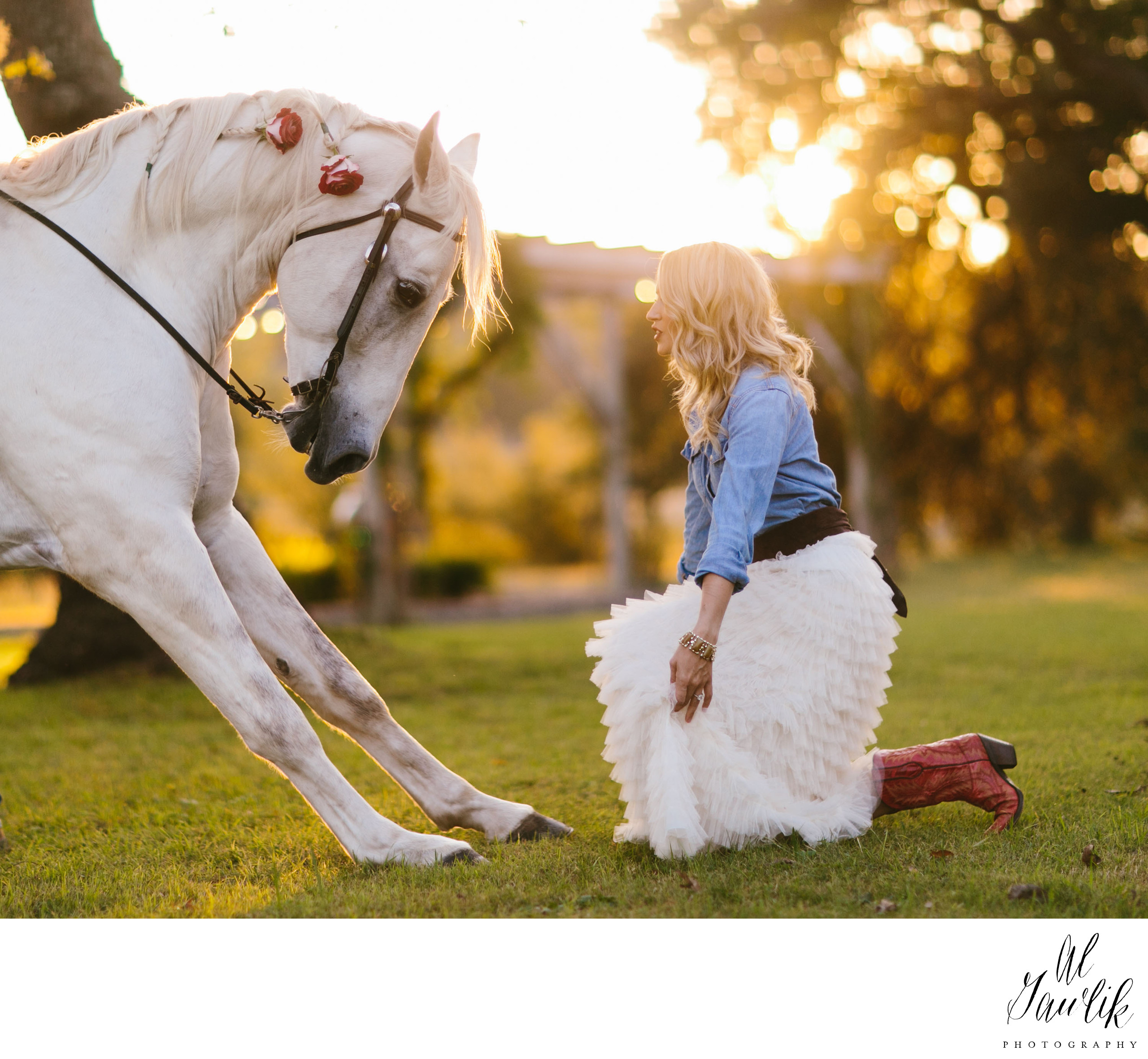 Horse Bowing and Bride Kneeling Create Memorable Image - PORTRAITS - AL