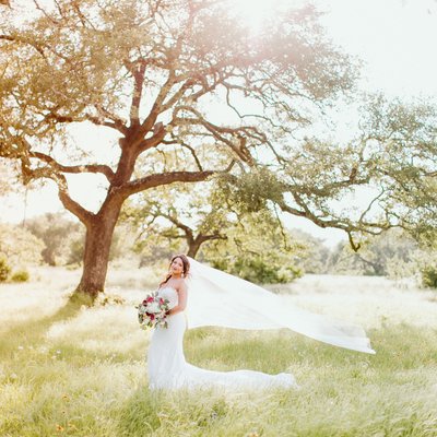 Texas bride under tree