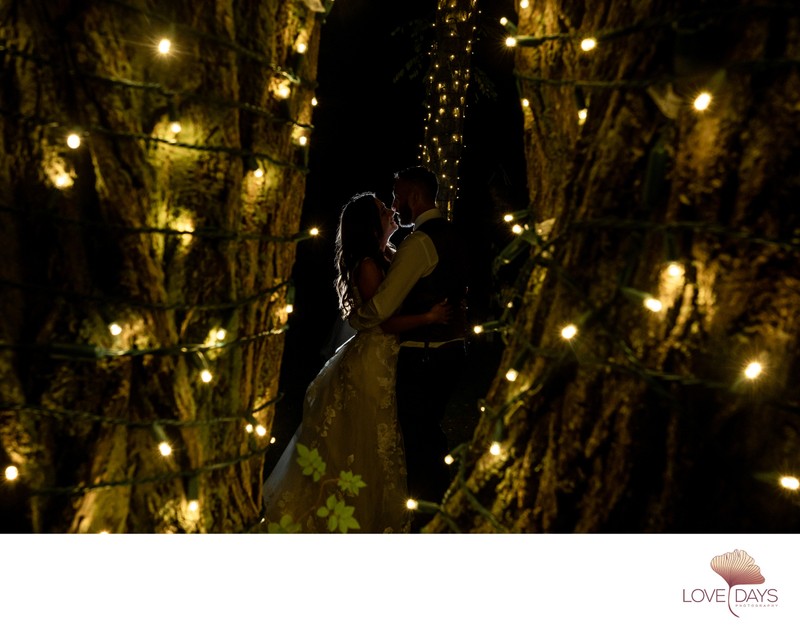 Sagamore Inn Wedding Portrait Tree Lights