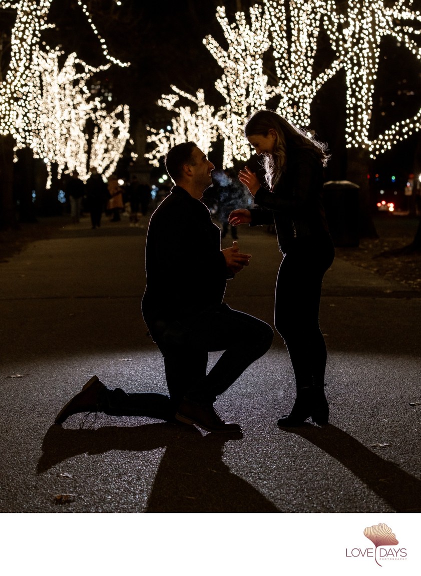 Boston Surprise Proposal Commonwealth Ave Christmas