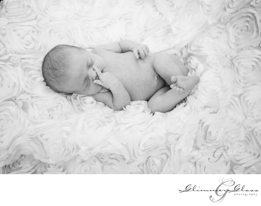 Newborn Photography glimmerglassPhoto.com