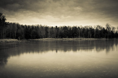 Frozen pond reflection