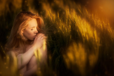 Seductive model in field at sunset