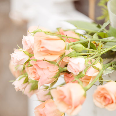 Tarrywile Mansion wedding photographer danbury ct