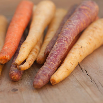 different colored fresh picked assorted carrots and parsnips on wooden background