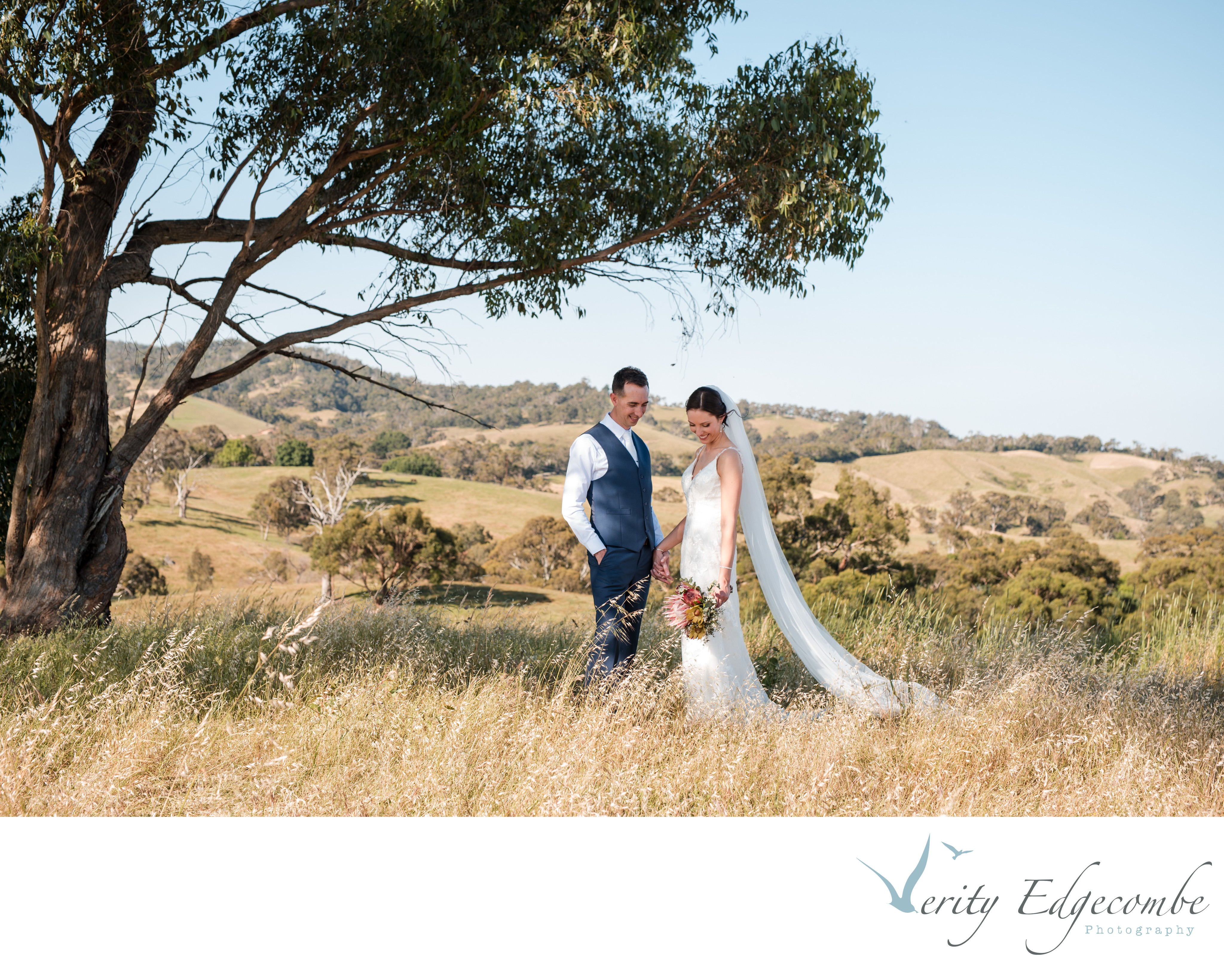 Verity Edgecombe Photography — photo 15 of 18