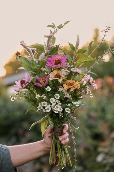 Adelaide Online Marketing Photographer