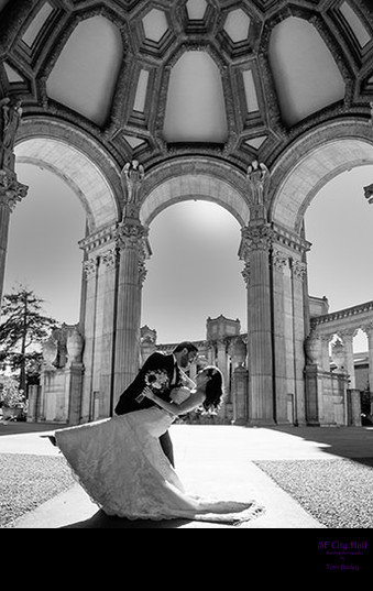 palace of fine arts san francisco 