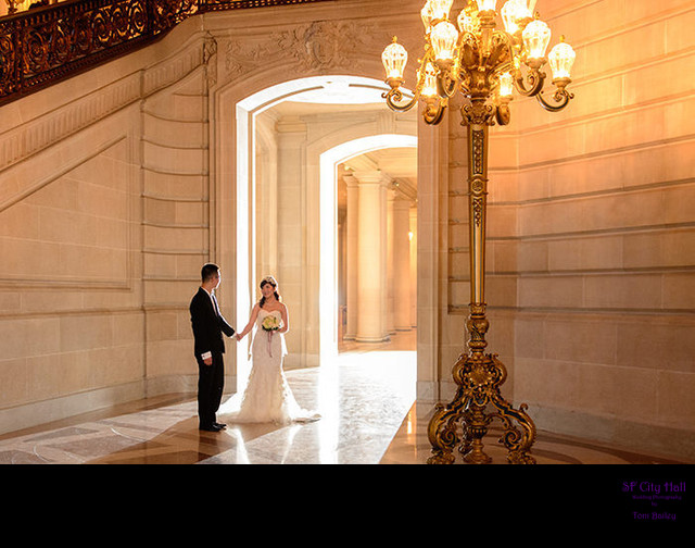 faq gorgeous light at sf city hall