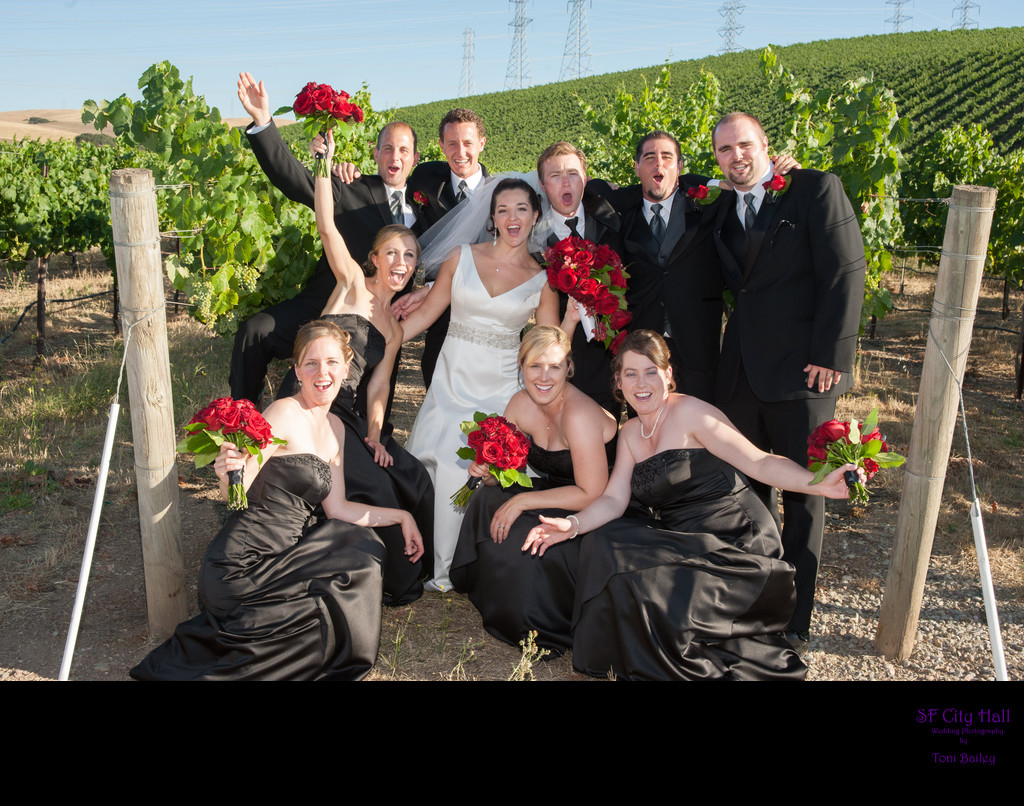 winery bridal party
