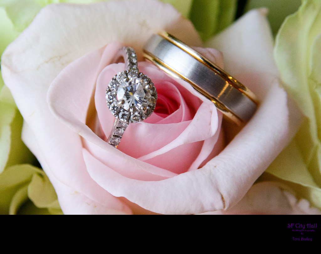 pretty rings in pink rose