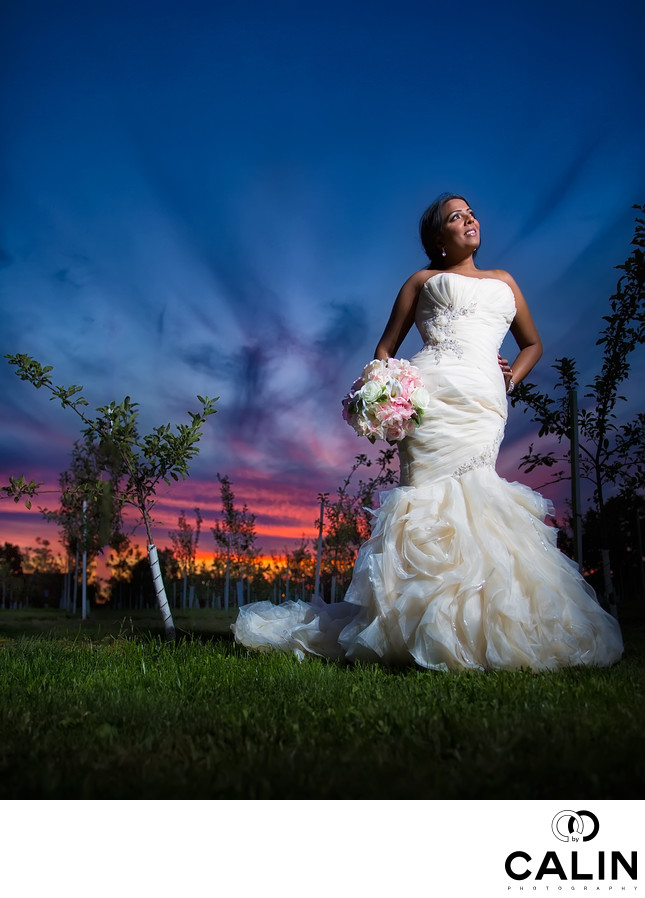 Bride Portrait After Toronto Botanical Garden Wedding