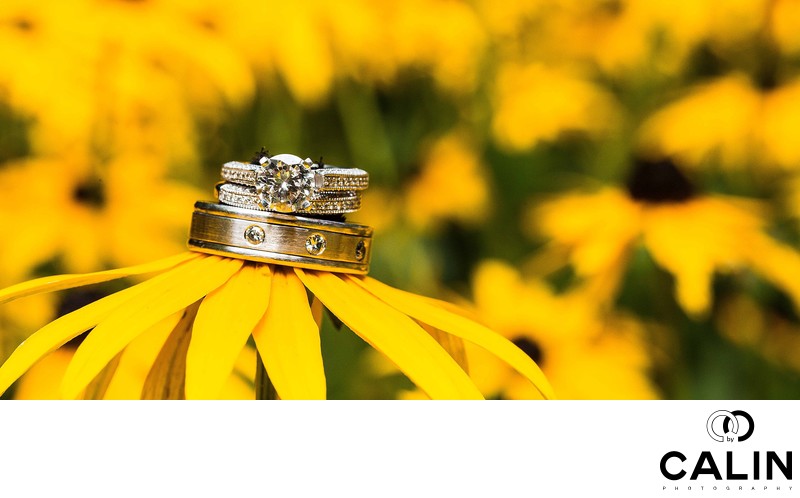 Toronto Botanical Garden Wedding Rings