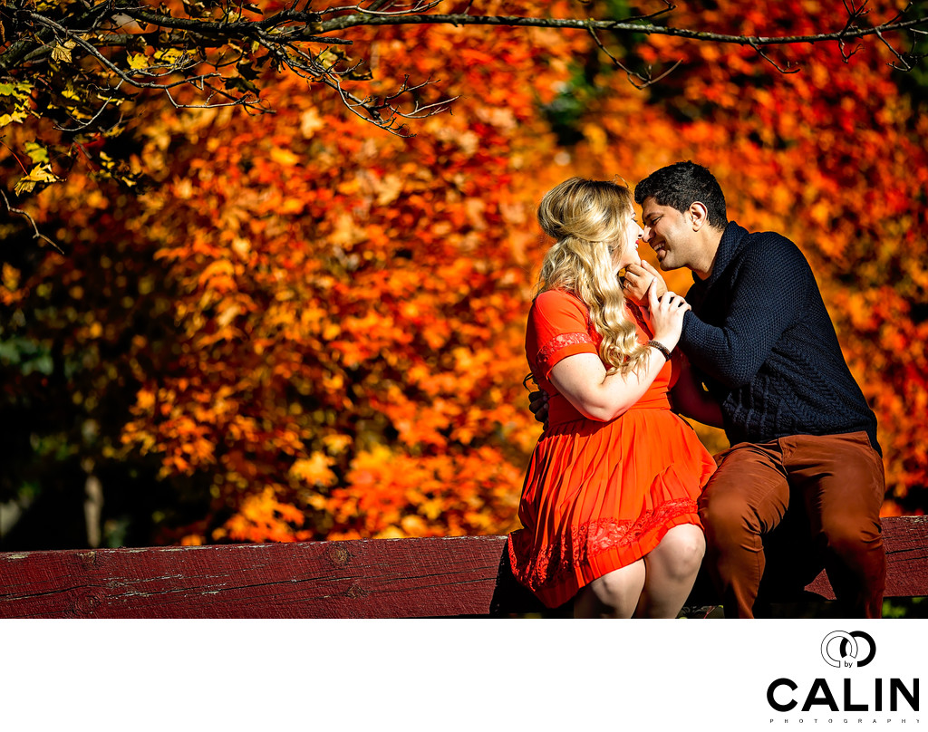Engagement Photo With Red Maple Tree 
