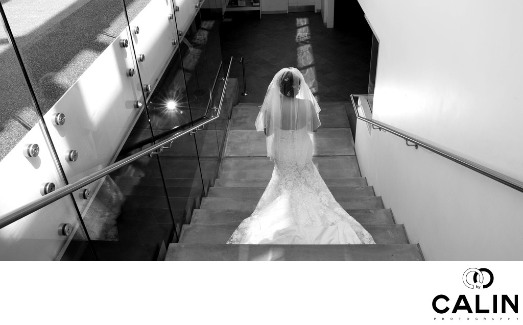 Toronto Botanical Garden Wedding Bride Descending Stairs